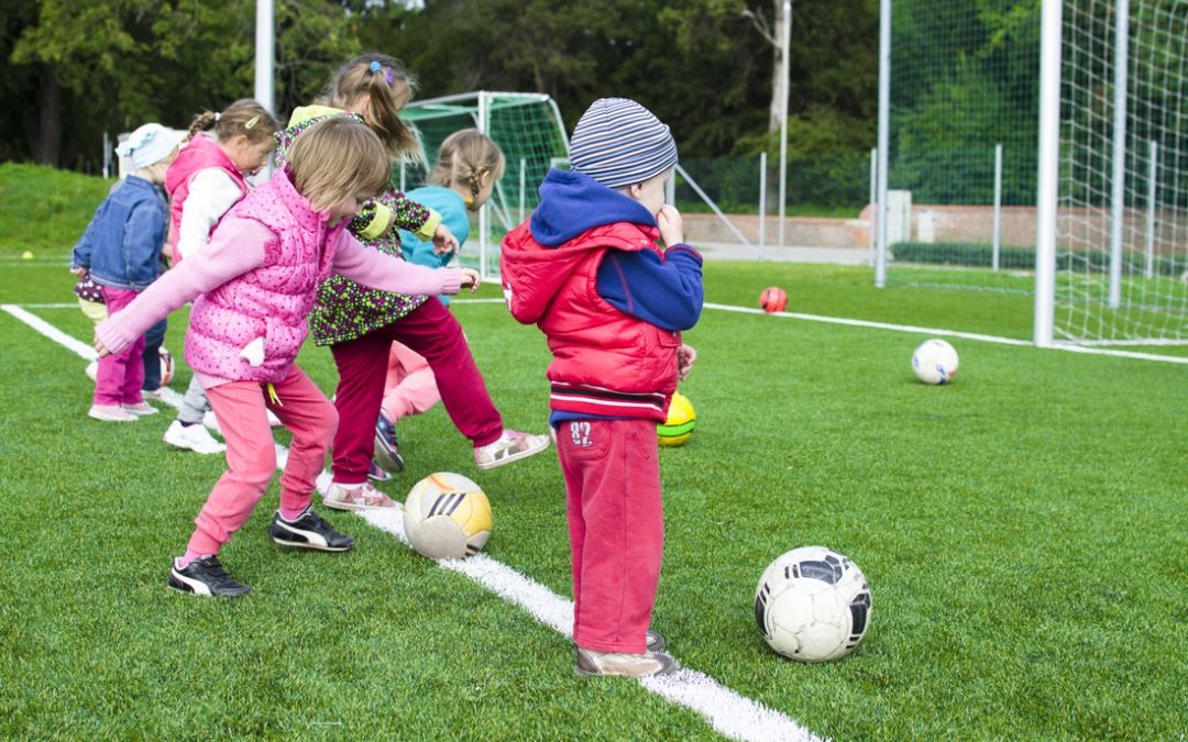 Pathways towards hobbies Resilience Forum blog
